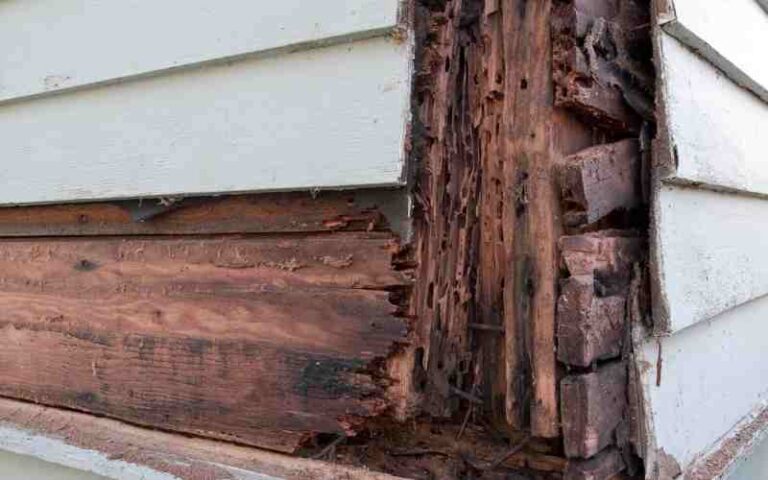 Can Roof Felt Rot? (Must Know These Things)