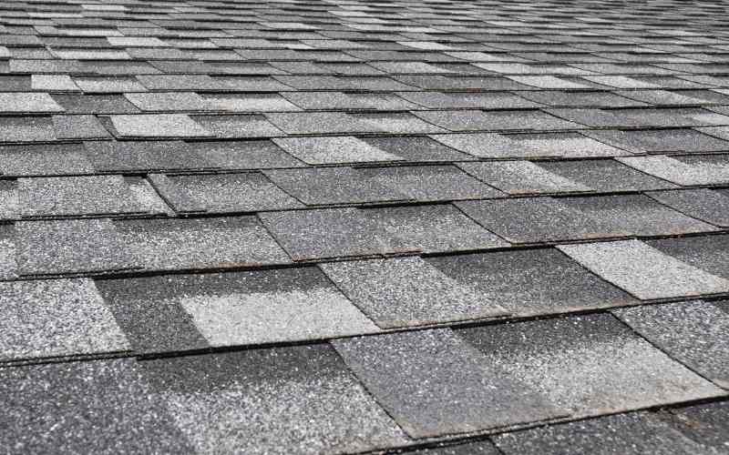 Paint Asphalt Shingles