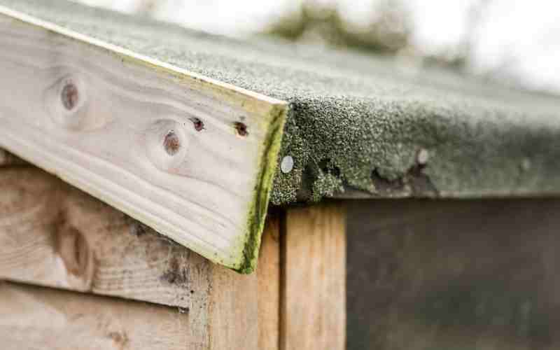 Roofing Felt Last On A Shed