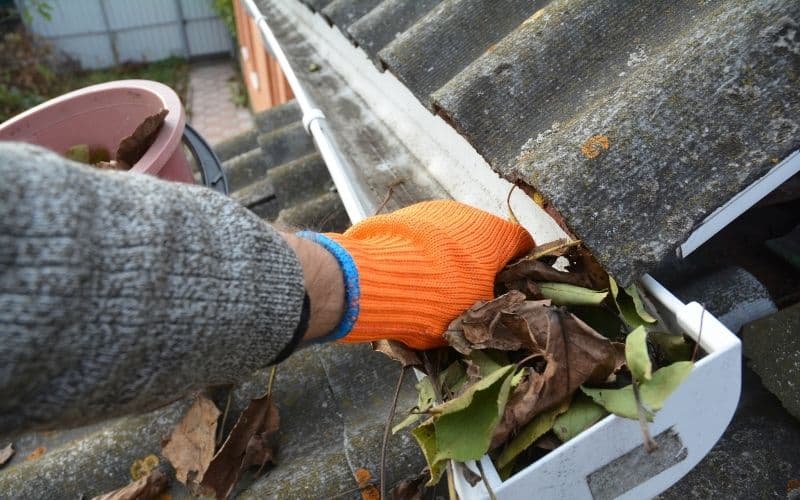 Climb on My Roof to Clean Gutters