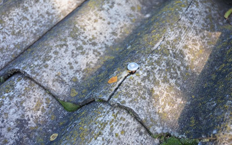 Water Leaking Through Nails in Roof