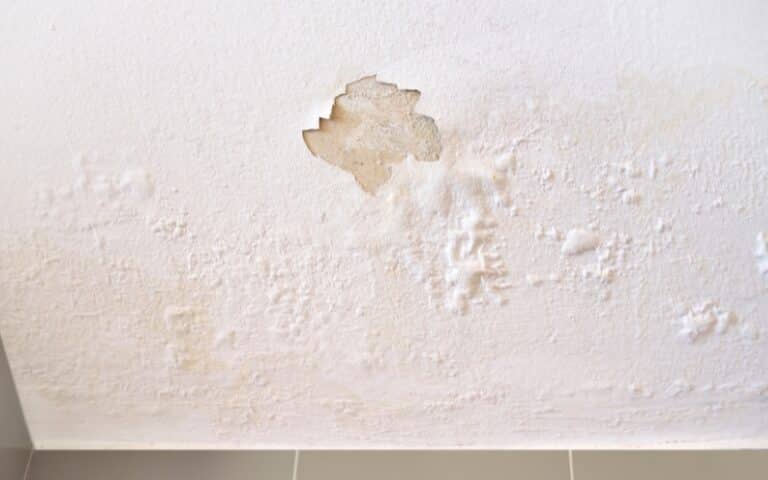 Can Drywall Get Rained On? (Things You Should Know)