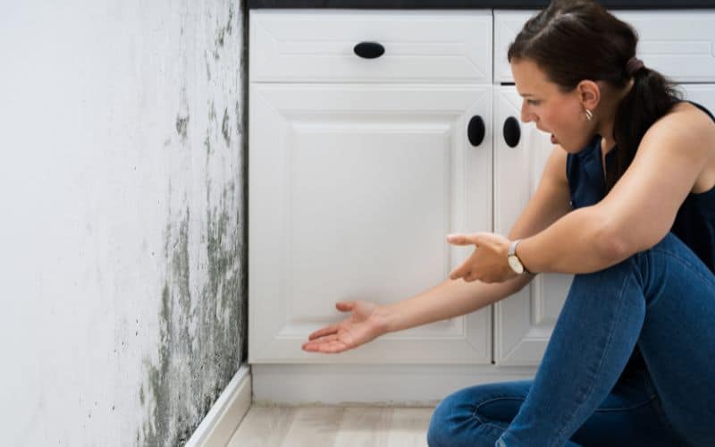 Mold-Resistant Alternatives to Drywall