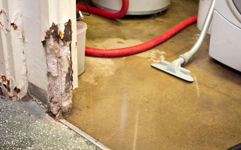 Water Damage Black Mold On the Subfloor: Must Know This!